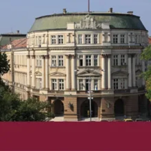 university